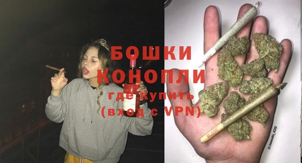 шишки Михайловск