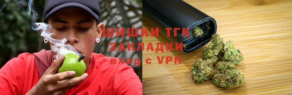 ПСИЛОЦИБИНОВЫЕ ГРИБЫ Михайловка