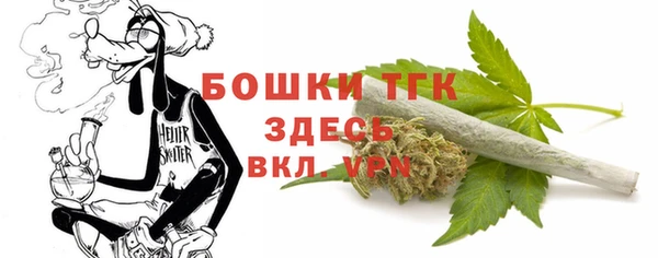 шишки Михайловск