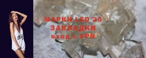 ПСИЛОЦИБИНОВЫЕ ГРИБЫ Михайловка