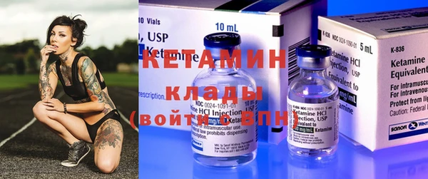 шишки Михайловск