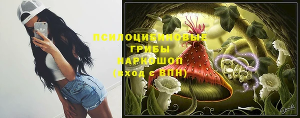 ПСИЛОЦИБИНОВЫЕ ГРИБЫ Михайловка